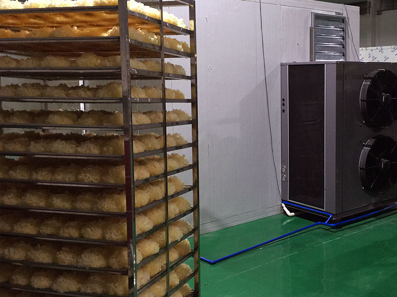 福建银耳烘干机项目