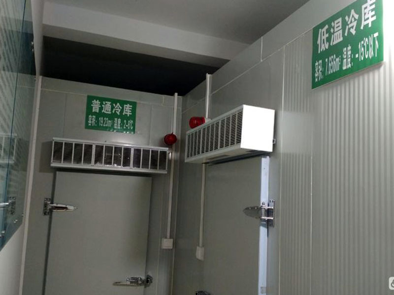 疫苗冷链医药通俗冷库与低温冷库