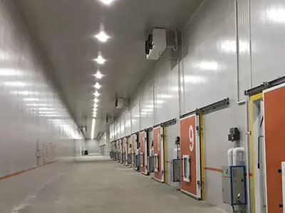 8000平方冷链物流大型冷库装置造价影响因素有哪些？