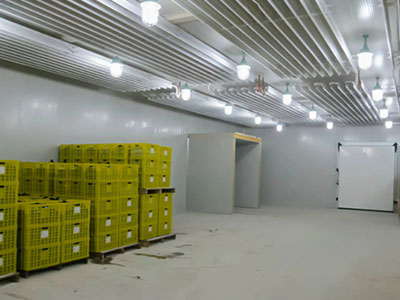 果蔬气调保鲜冷库作用，果蔬气调冷库有哪些优点？