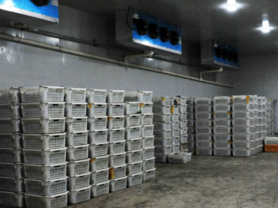 果蔬冷库怎样调理相对湿度？ 