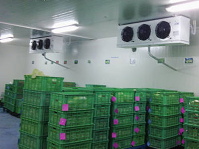 蔬菜水果批发建多大的保鲜冷库较量合适？ 