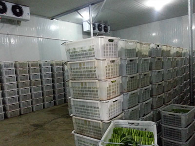 保鲜冷库制冷系统在调解前要注重事项 