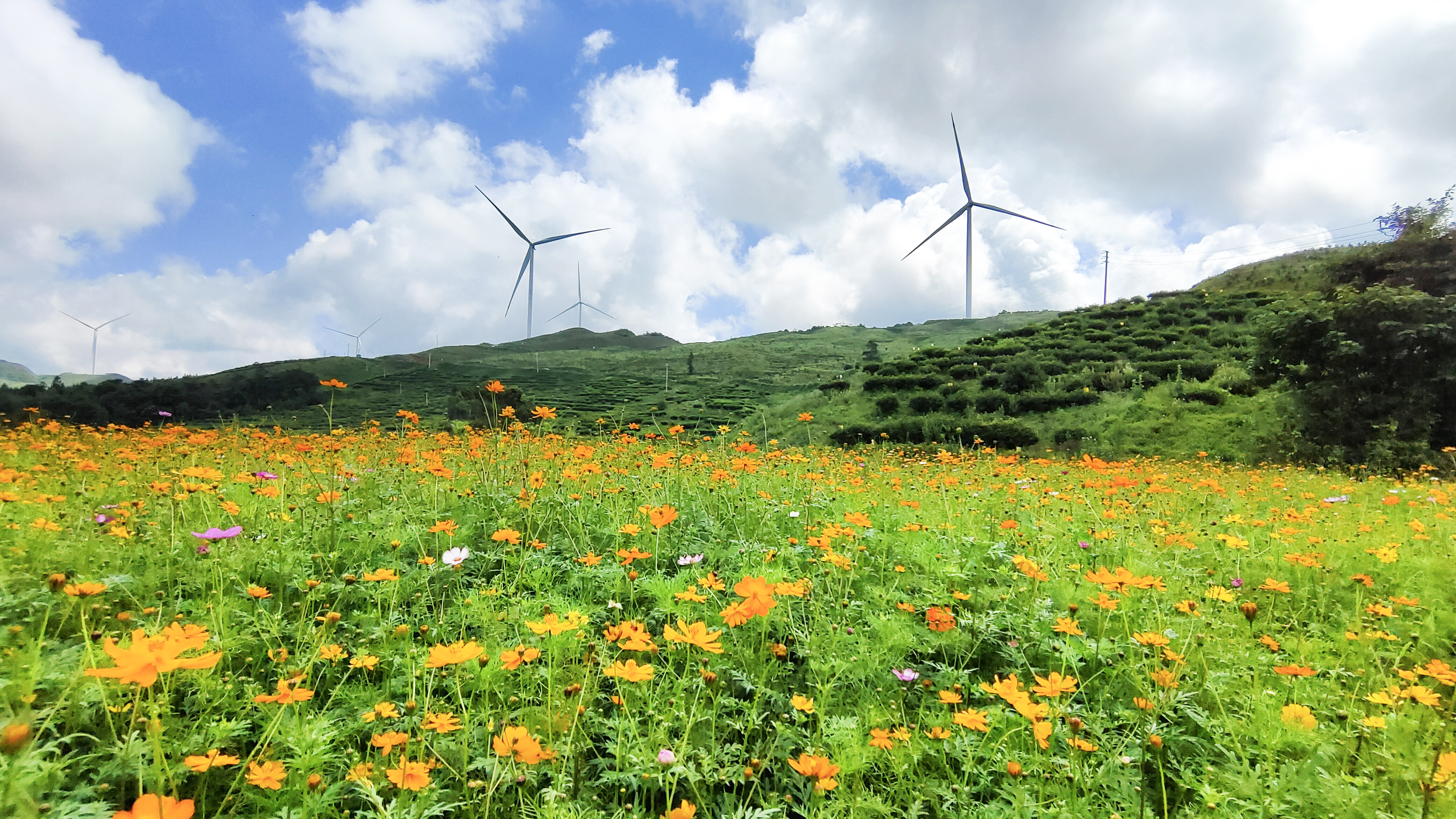 大奖国际·18dj18(中国)官方网站