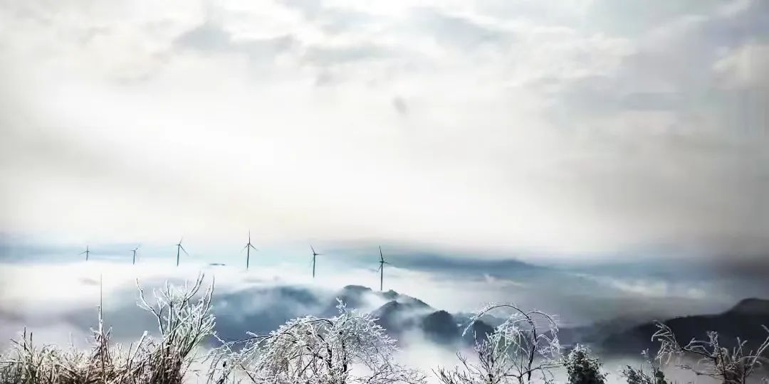 大奖国际·18dj18(中国)官方网站