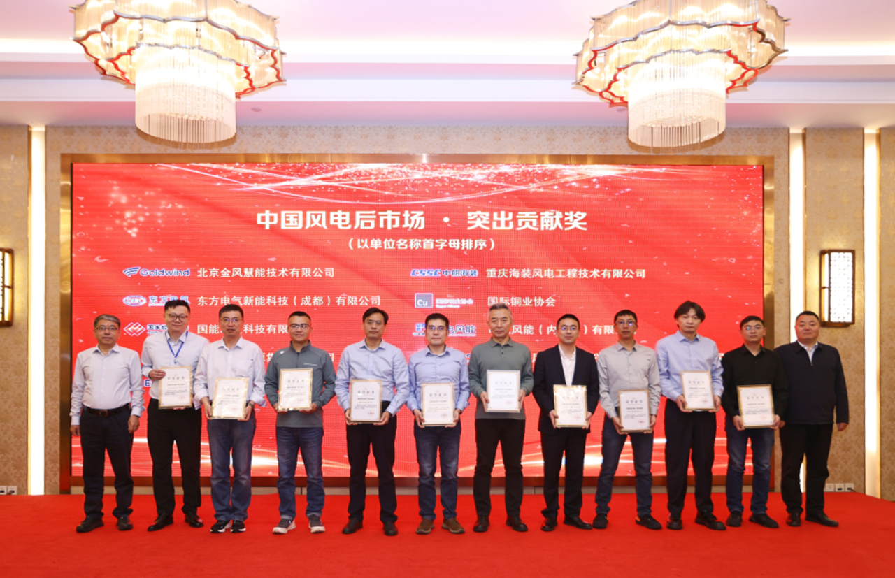 【喜报】大奖国际18dj18股份荣获&ldquo;中国风电后市场&middot;凸起贡献奖&rdquo;
