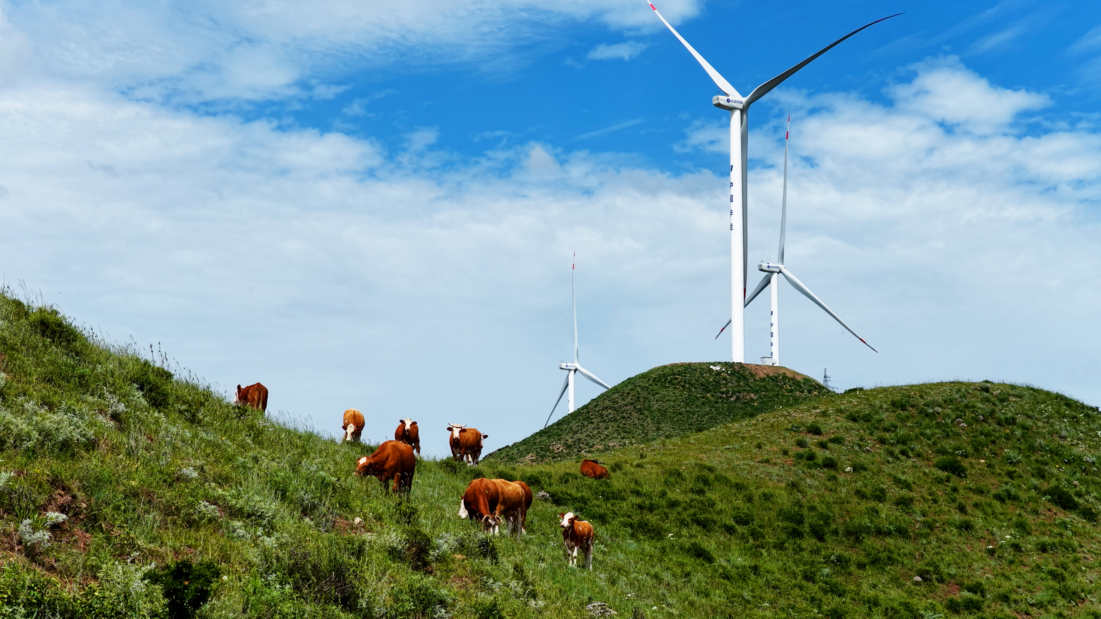 大奖国际·18dj18(中国)官方网站