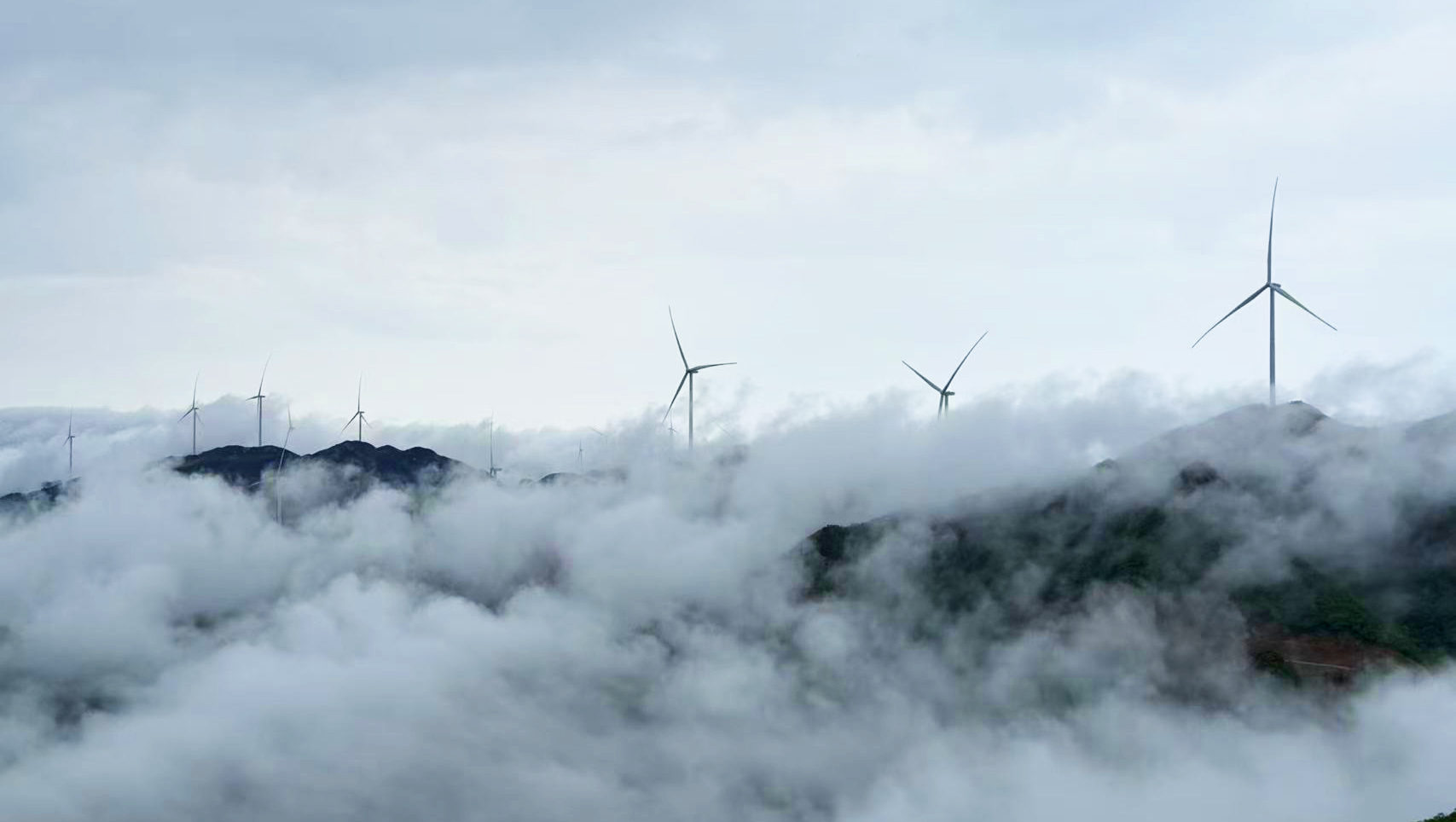 大奖国际·18dj18(中国)官方网站