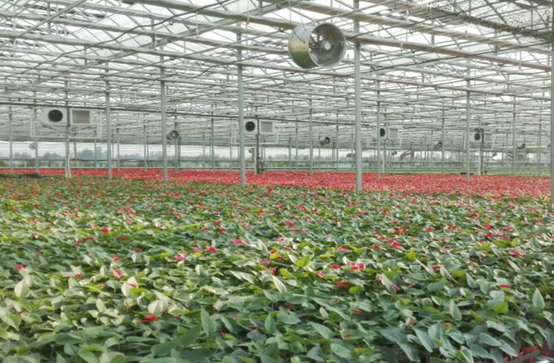 综合商业中心项目